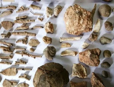 Χαλκιδική: Εκατοντάδες αρχαία αντικείμενα σε σπίτι 72χρονου